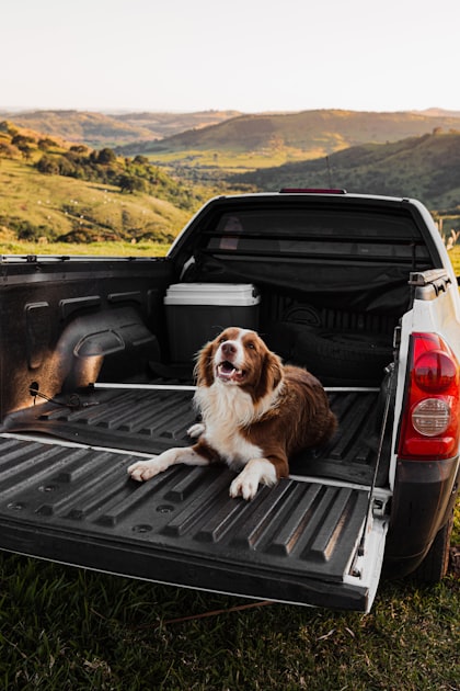 Why Choose a Collapsible Tray?